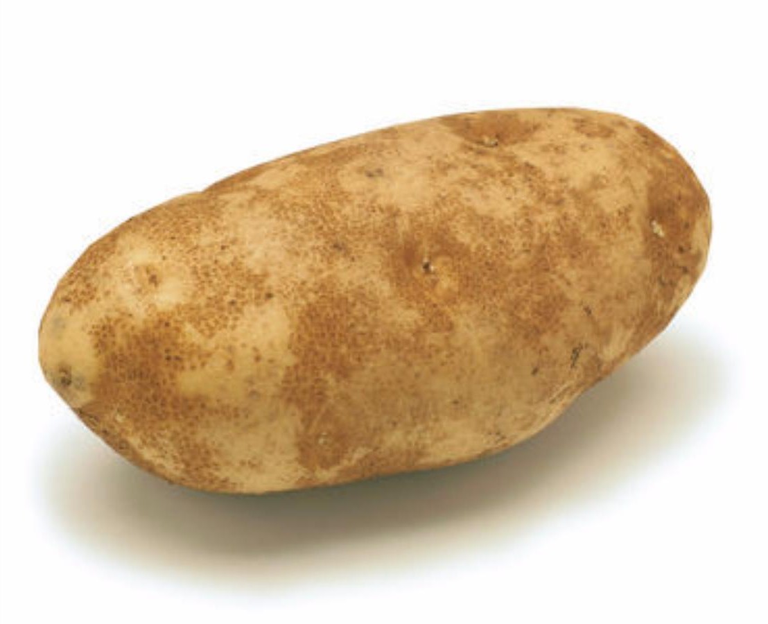 In case you didn't notice, this is a potato